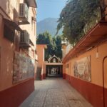 Parmarth Niketan Ashram Rishikesh