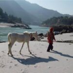 Ganga Beach Rishikesh