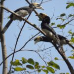 Beatles Ashram Rishikesh