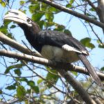 Beatles Ashram Rishikesh